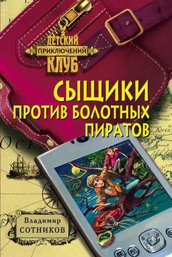 Владимир Сотников Сыщики против болотных пиратов обложка книги