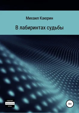 Михаил Каюрин В лабиринтах судьбы обложка книги