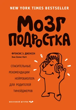 Эми Натт Мозг подростка. Спасительные рекомендации нейробиолога для родителей тинейджеров обложка книги