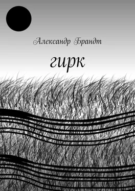 Александр Брандт Гирк обложка книги