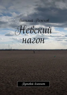 Василий Рожков Невский нагон. Путевой блокнот обложка книги