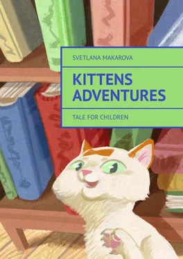 Svetlana Makarova Kittens Adventures. Tale for Children обложка книги