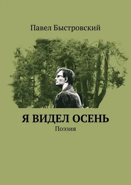 Павел Быстровский Я видел осень. Поэзия обложка книги