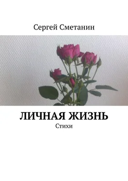 Сергей Сметанин Личная жизнь. Стихи обложка книги