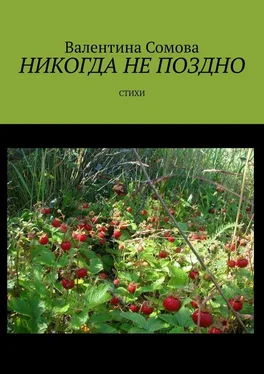 Валентина Сомова Никогда не поздно. Стихи обложка книги