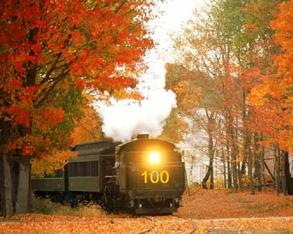 Круг Поздняя осень в тревоге Шум на железной дороге Столетний гудит - фото 6