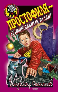 Владимир Сотников Простофиля – криминальный талант обложка книги