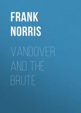 Frank Norris Vandover and the Brute обложка книги