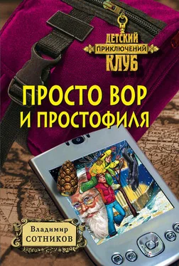 Владимир Сотников Просто вор и простофиля обложка книги