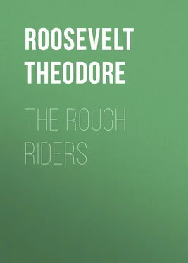 Theodore Roosevelt The Rough Riders обложка книги