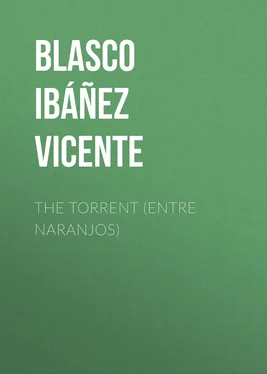 Vicente Blasco Ibáñez The Torrent (Entre Naranjos) обложка книги