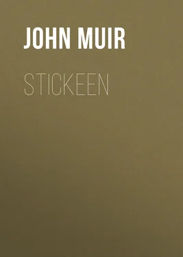John Muir Stickeen обложка книги