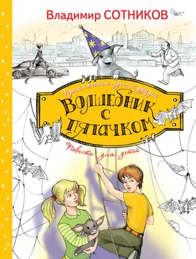 Владимир Сотников Волшебник с пятачком обложка книги