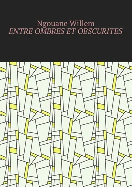 Willem Ngouane Entre ombres et obscurités обложка книги