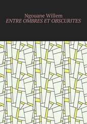 Willem Ngouane - Entre ombres et obscurités