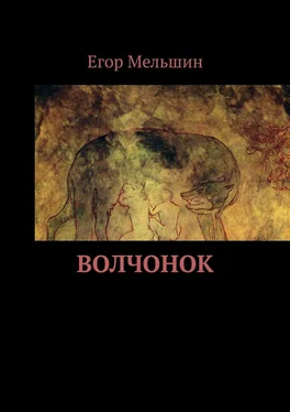 Егор Мельшин Волчонок обложка книги