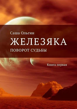 Саша Ольгин Железяка. Поворот судьбы. Книга первая обложка книги