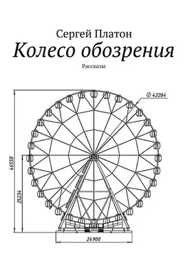 Сергей Платон Колесо обозрения. Рассказы обложка книги