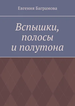 Евгения Баграмова Вспышки, полосы и полутона обложка книги