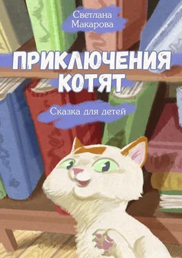 Светлана Макарова Приключения котят. Сказка для детей обложка книги