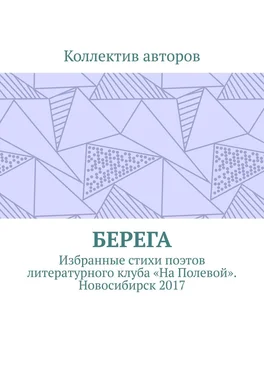 Александр Акишев Берега. Избранные стихи поэтов литературного клуба «На Полевой». Новосибирск 2017 обложка книги