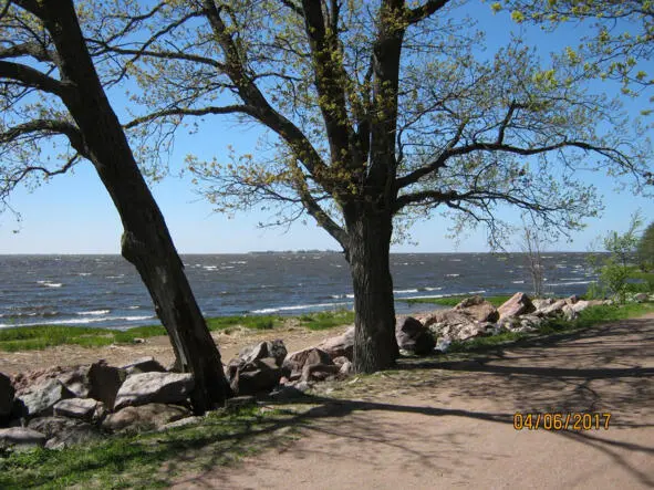 The Dubkovsky cape one of island forts is in the distance visible Mighty - фото 4