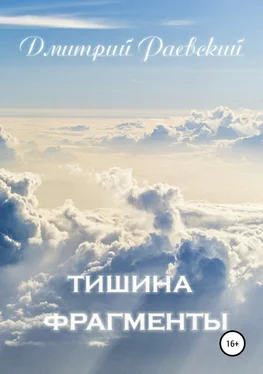 Дмитрий Раевский Тишина. Фрагменты обложка книги