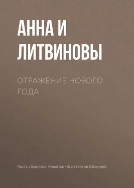 Анна и Сергей Литвиновы Отражение Нового года обложка книги