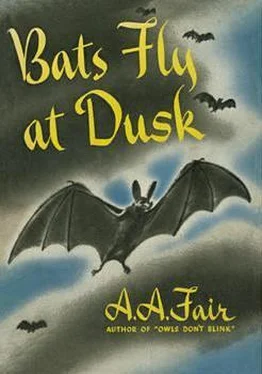 A. Fair Bats Fly at Dusk обложка книги