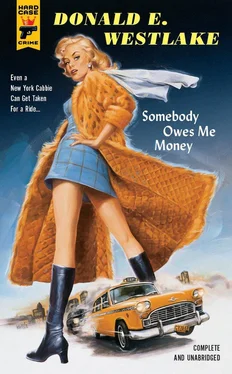 Donald Westlake Somebody Owes Me Money обложка книги