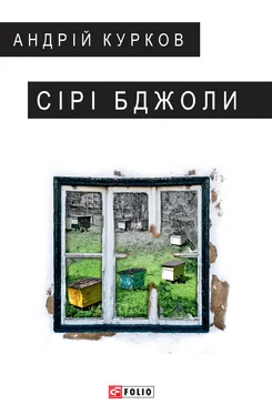 Андрій Курков Сірі бджоли обложка книги