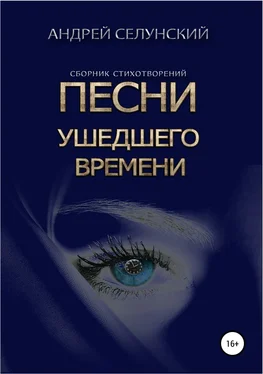 Андрей Селунский Песни ушедшего времени обложка книги