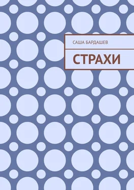 Саша Бардашев Страхи обложка книги