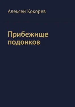 Алексей Кокорев Прибежище подонков обложка книги