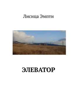 Лисица Эмпти Элеватор обложка книги