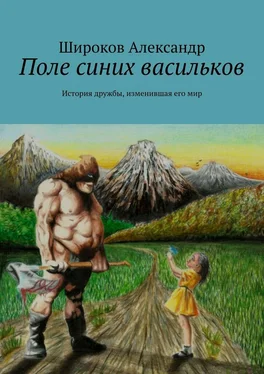 Александр Широков Поле синих васильков. История дружбы, изменившая его мир обложка книги