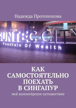 Надежда Протопопова Как самостоятельно поехать в Сингапур. Моё волонтерское путешествие обложка книги