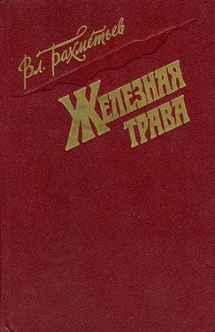 Владимир Бахметьев Железная трава обложка книги