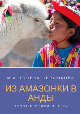 Мария Гусева-Сердюкова Из Амазонки в Анды. Проза и стихи о Перу обложка книги