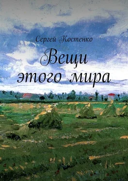 Сергей Костенко Вещи этого мира обложка книги