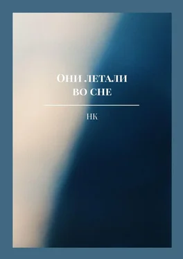 НК Они летали во сне обложка книги