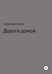 Елена Галинская - Дорога домой