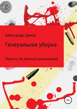 Александр Ермак Генеральная уборка обложка книги