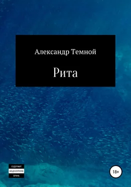 Александр Темной Рита обложка книги