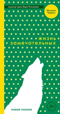 Михаил Чевега Жизнь замечательных обложка книги