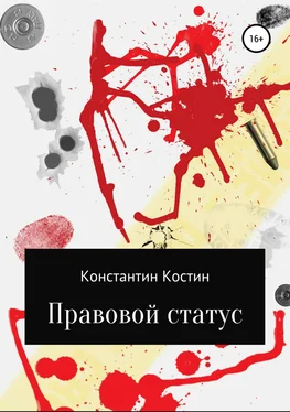 Константин Костин Правовой статус обложка книги