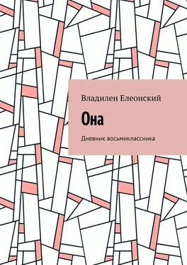 Владилен Елеонский Она. Дневник восьмиклассника обложка книги