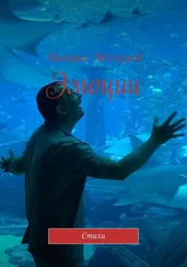 Валерий Железнов - Эмоции. Стихи