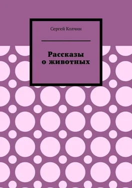 Сергей Колчин Рассказы о животных. Трилогия обложка книги