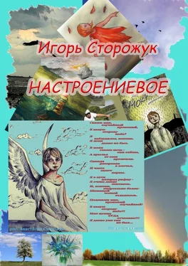 Игорь Сторожук Настроениевое обложка книги